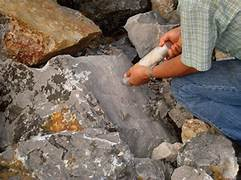 Ammonium Nitrate Fuel Oil Found In Delhi Red Fort Blast