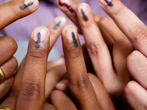 Purvi Champaran Election Result: Vote Counting Begins Amid Tight Security