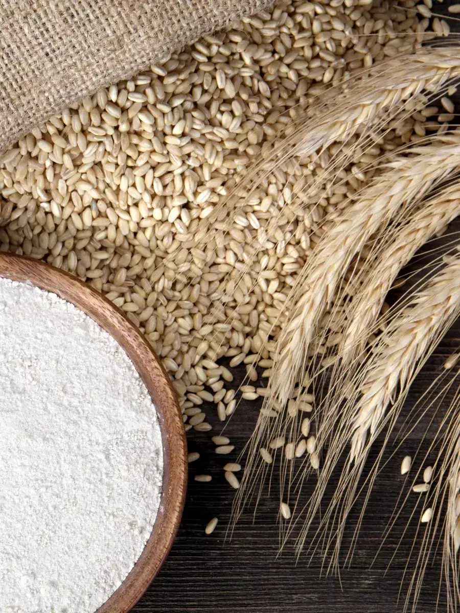 Pakistan Faces Looming Flour Crisis Amid Severe State Mismanagement