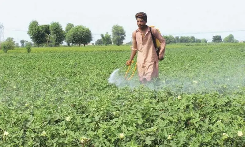 FAO Flags Low Soil Fertility and Severe Nutrient Deficiency Across Pakistan