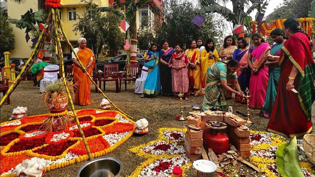 Pongal 2026 Festival: Dates, History, Significance, Rituals And Wishes