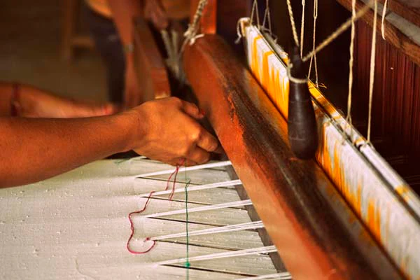 Weavers’ Thrift Fund Amount Credited to Cooperative Societies