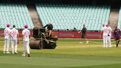 Happy With Colour Of The Pitch: SCG Curator Ahead Of Fifth Ashes Test